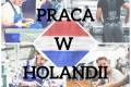 Praca na sortowniach, produkcji, szklarniach w Holandii