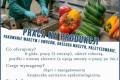 Produkcja mroonek (+ operator wzka UTD)  &#8211; zatrudnimy od zaraz!